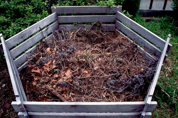 Compost Bin