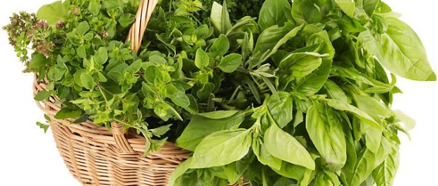 basil basket 2