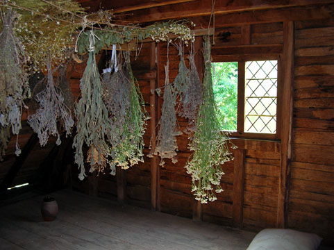 drying-herbs
