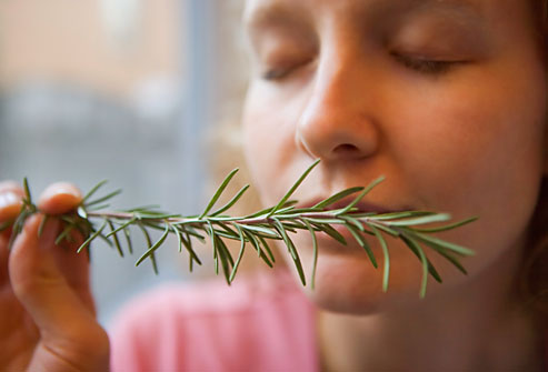 scent of rosemary