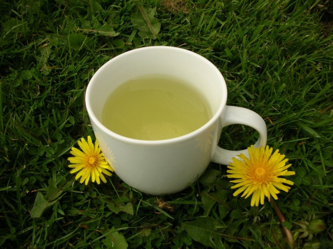 dandelion tea