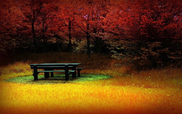 picnic-table-in-autumn-8950