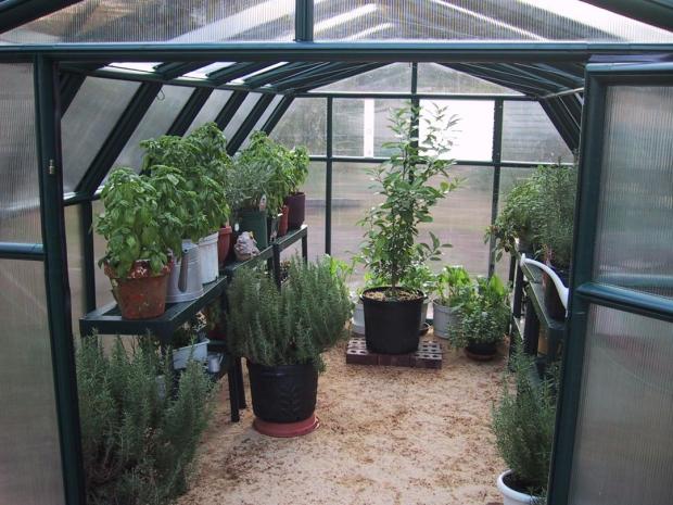 greenhouse 2