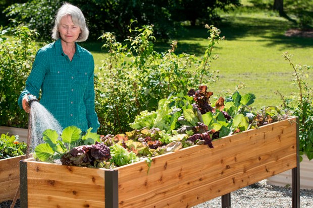 Middle Aged Couple Relaxing On Country Cycle Ride
